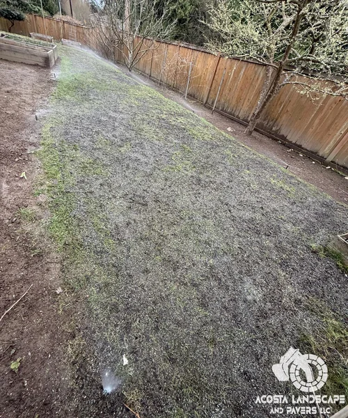 Lawn Care & Sprinkler System Installation in Lynnwood 